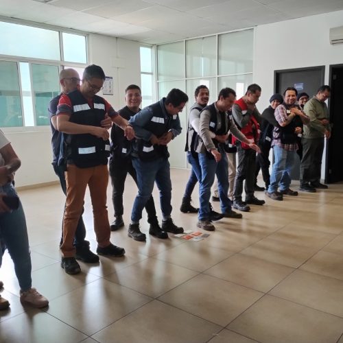 WhatsApp Image 2025-11-06 at 15.01.02